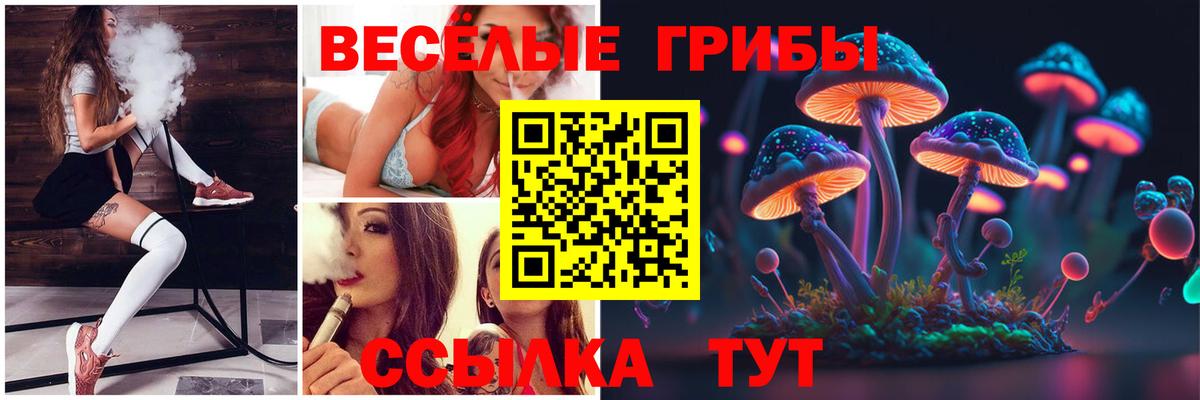 Галлюциногенные грибы Psilocybe Тихорецк